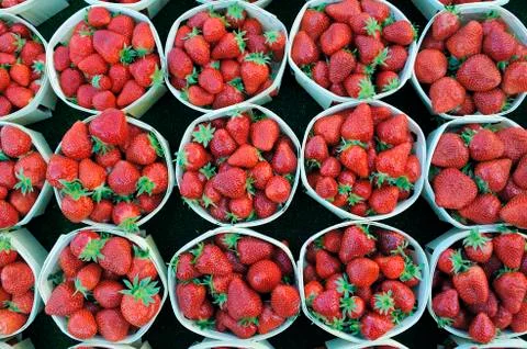 Strawberries in baskets Stock Photos