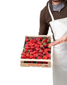 Strawberries in box Stock Photos