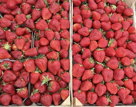 Strawberries in boxes Stock Photos