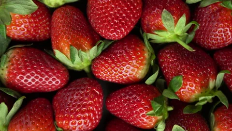 Strawberries bright red rotating loop overhead fresh australian strawberries Stock Footage 138785320