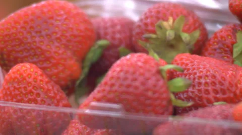 Strawberries in a Carton Stock Footage 33071051