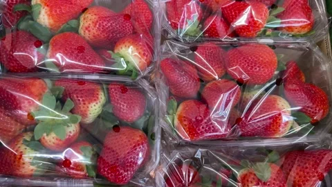 Strawberries in clear plastic trays displayed by the greengrocer Stock Footage 303660579