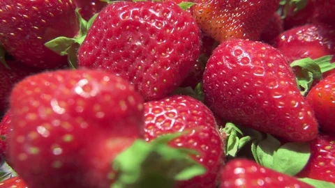 Strawberries close-up and motion camera Stock Footage 90372240