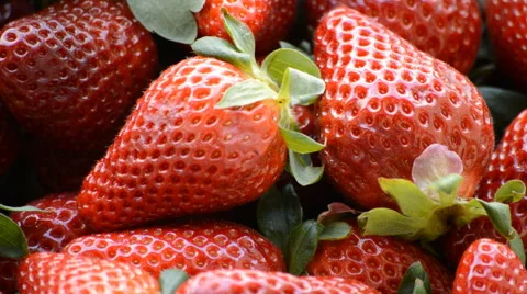 Strawberries Close Up Stock Footage 48605814