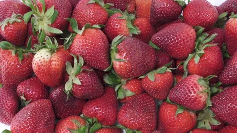 Strawberries Close up, Panning Effect Stock Footage 106978113