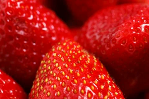 Strawberries close up Stock Photos