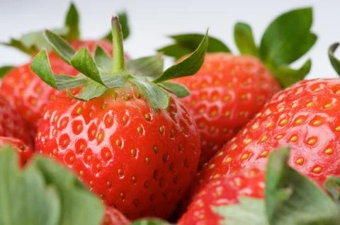 Strawberries close up Stock Photos