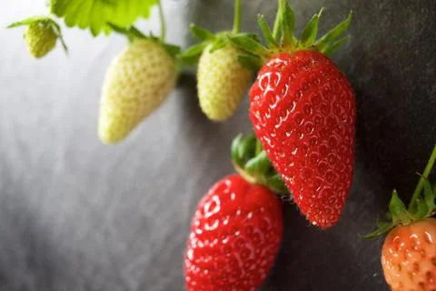 Strawberries close up Stock Photos