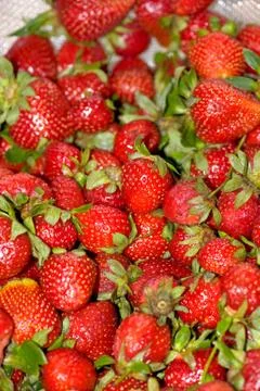 Strawberries closeup Stock Photos