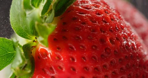 Strawberries dusting 動画素材 104561335