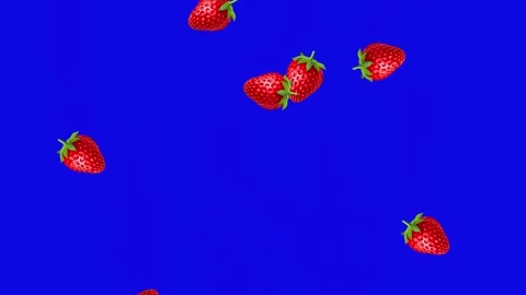 Strawberries Falling Animation - Blue Chroma Key Background 動画素材 342574253