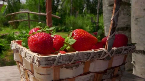 Strawberries falling into a basket Stock Footage 213229798