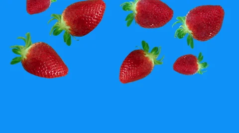 Strawberries falling blue screen Stock Footage 62915717
