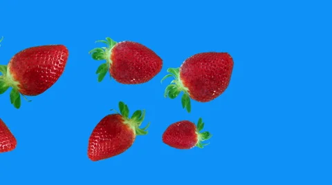 Strawberries falling from left to right blue screen Stock Footage 62915719