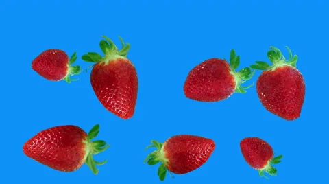 Strawberries falling loop blue screen Video stock 62916797