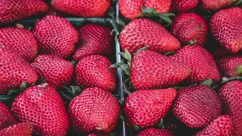 Strawberries Focus Out Stock Footage 122937259