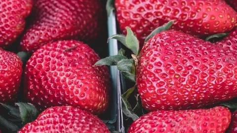 Strawberries Focusing In Stock Footage 122945839
