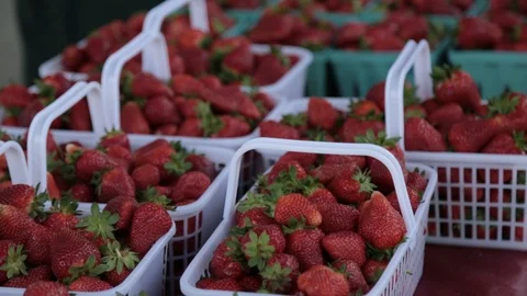 Strawberries 動画素材 105420782