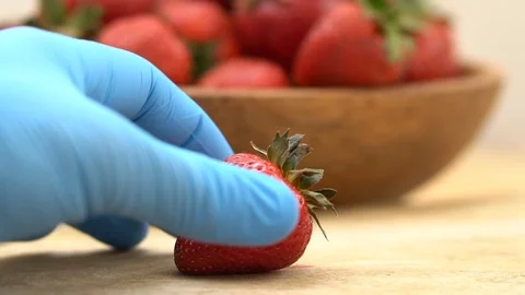 Strawberries Stock Footage 109041940