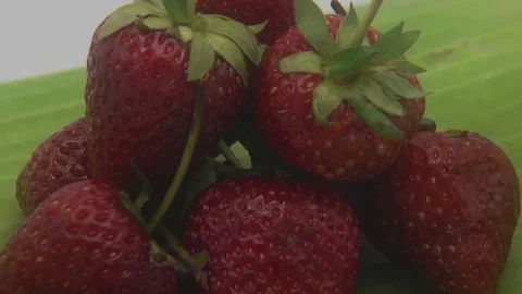 Strawberries Stock Footage 126113498