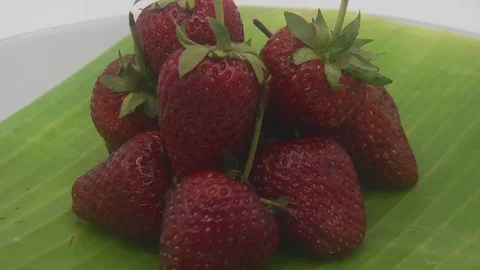 Strawberries Stock Footage 126113500