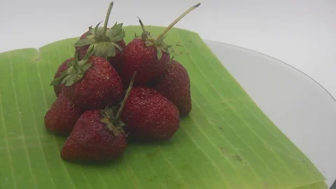 Strawberries Stock Footage 126113622