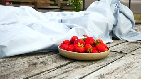 Strawberries Stock Footage 138459028