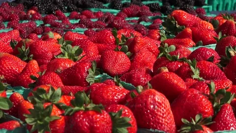 Strawberries Stock Footage 147632313