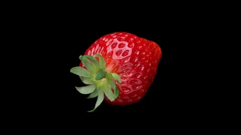 Strawberries Video stock 300529438