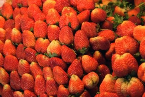 Strawberries fresh Stock Photos