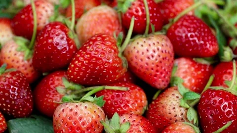 Strawberries fruit, strawberry Stock Footage 228762766