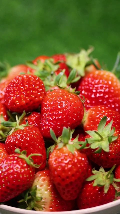 Strawberries on the grass Video stock 346963720