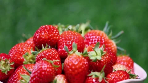 Strawberries on the grass Stock Footage 346963860