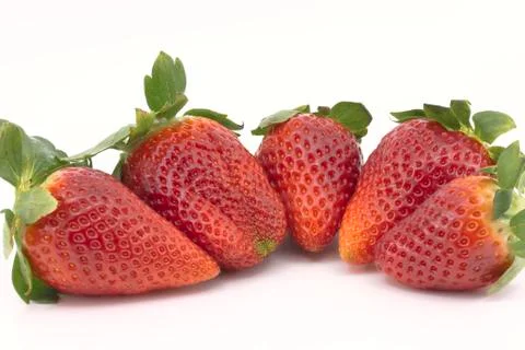 Strawberries group 库存照片