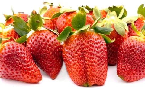 Strawberries group 库存照片