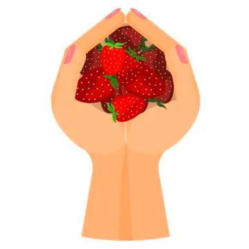 Strawberries on hand Stock Illustration