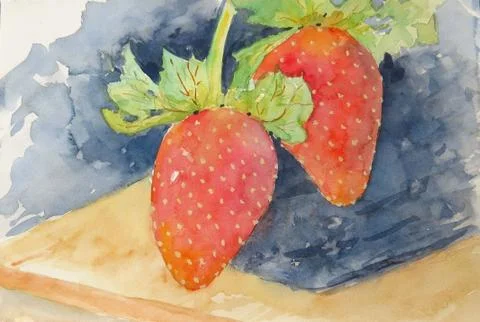 Strawberries. Hand painted using real watercolors. Stock Illustration