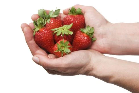 Strawberries in the hands Stock Photos