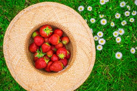 Strawberries in a hat Stock Photos