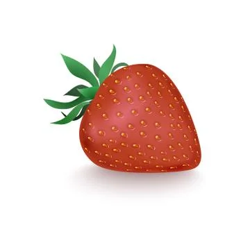 Strawberries Stock Illustration