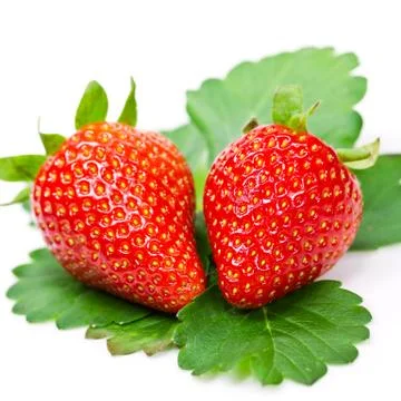 Strawberries isolated Stock Photos