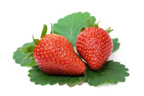 Strawberries isolated Foto stock