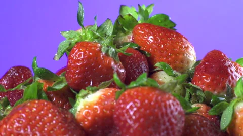 Strawberries isolated rotating on purple background Stock Footage 62395517