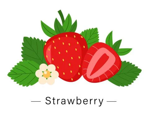 Strawberries isolated on a white background Stock Illustration