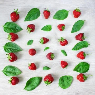 Strawberries with mint pattern isolated Stock Photos