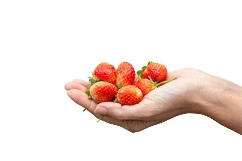 Strawberries on one hand isolate Stock Photos
