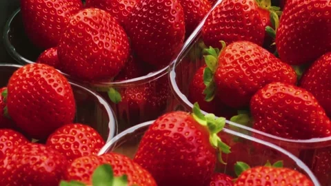 Strawberries packaged in box, sweet ripe perfect strawberry harvest, organic Stock Footage 203596549