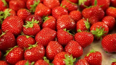 Strawberries pan left 2 Stock Footage 11370525