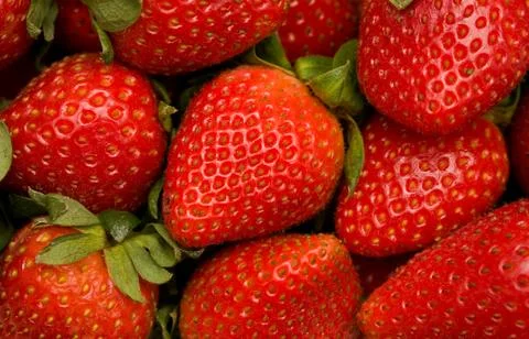 Strawberries Stock Photos