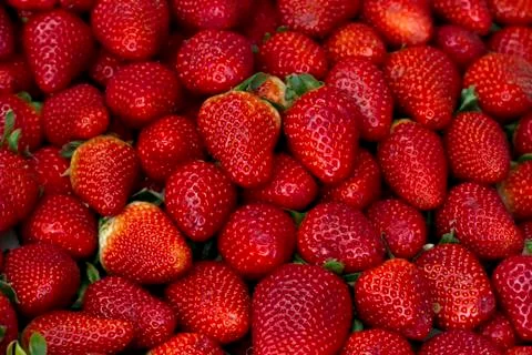 Strawberries Foto stock